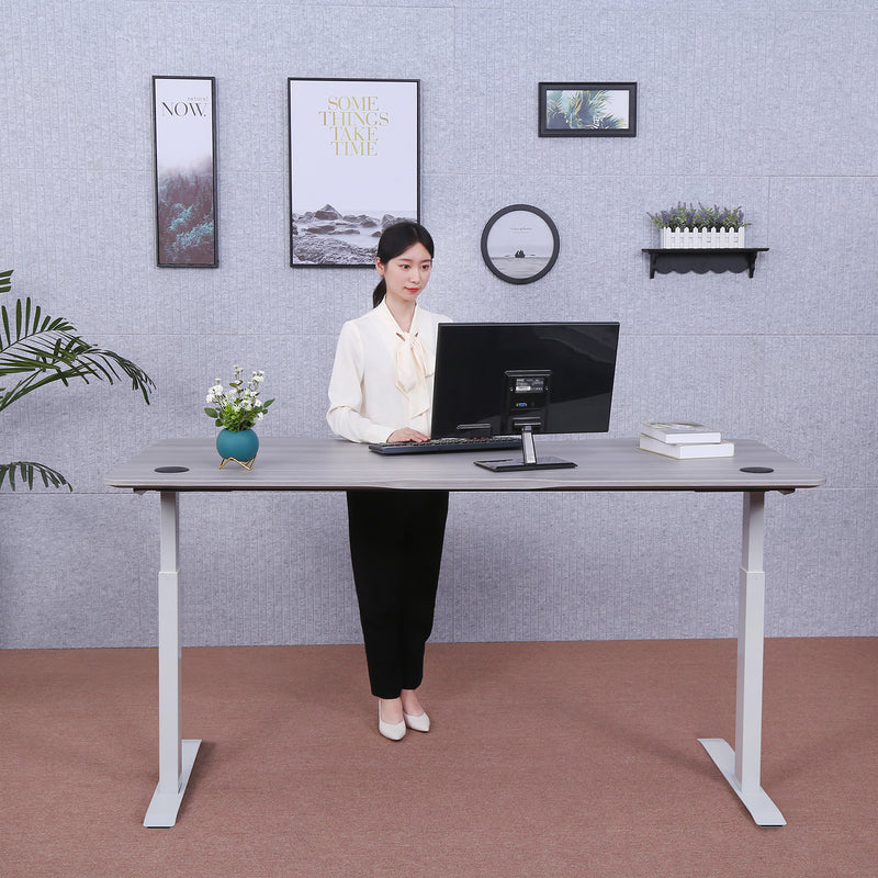 Elite Pro Series 71" x 33" Standing Desk with Off-White Frame