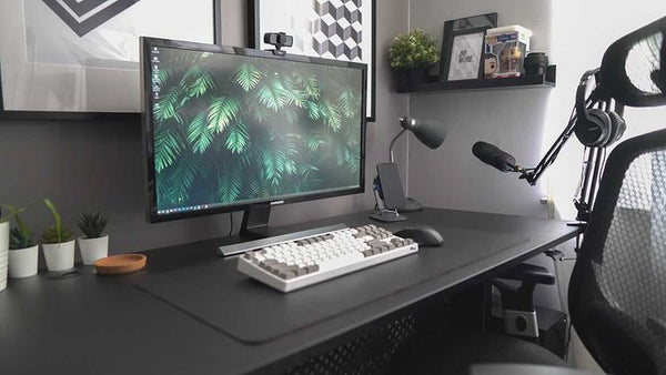 Pneumatic 55" Standing Desk
