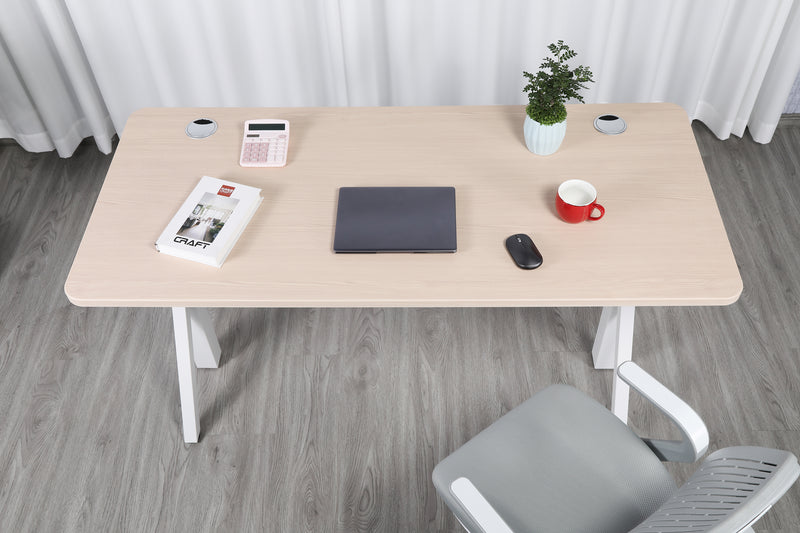 Quattro Series 60" Electric Adjustable Standing Desk with Rectangular Top