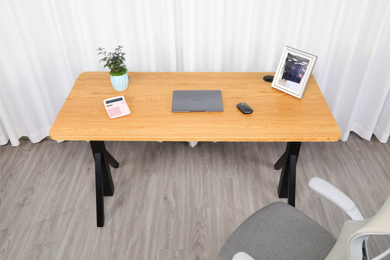 Quattro Series 60" Electric Adjustable Standing Desk with Rectangular Top