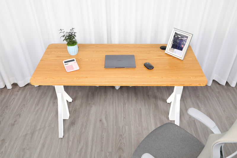 Quattro Series 60" Electric Adjustable Standing Desk with Rectangular Top