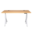 Quattro Series 60" Electric Adjustable Standing Desk with Rectangular Top