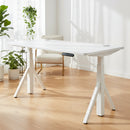 Quattro Series 60" Electric Adjustable Standing Desk with Reinforced Legs