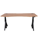 Quattro Series 60" Electric Standing Desk with Curved Top