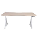 Quattro Series 60" Electric Standing Desk with Curved Top