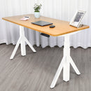 Quattro Series 60" Electric Adjustable Standing Desk with Rectangular Top