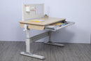 [BUNDLE] NK Series Children's Desk + DX Series Chair + Extra Seat Cover