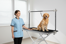 ProPaw™ Series 46" Pet Grooming Station (PRE-ORDER)
