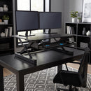ZT Series 36 x 24 Electric Desk Converter