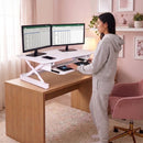 ZT Series 36 x 24 Electric Desk Converter