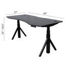 Quattro Series 60" Electric Standing Desk with Curved Top