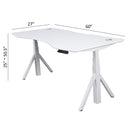 Quattro Series 60" Electric Standing Desk with Curved Top