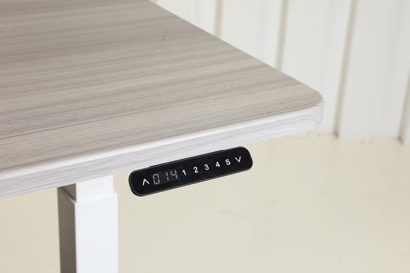 Quattro Series 60" Electric Adjustable Standing Desk with Rectangular Top