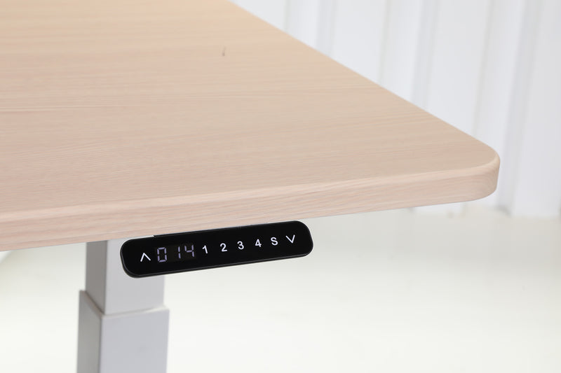 Quattro Series 60" Electric Adjustable Standing Desk with Rectangular Top