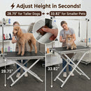 ApexDesk 46" Pet Grooming Station