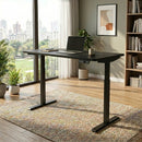 [Pre-Order] Strata 60" Series N Edition Standing Desk