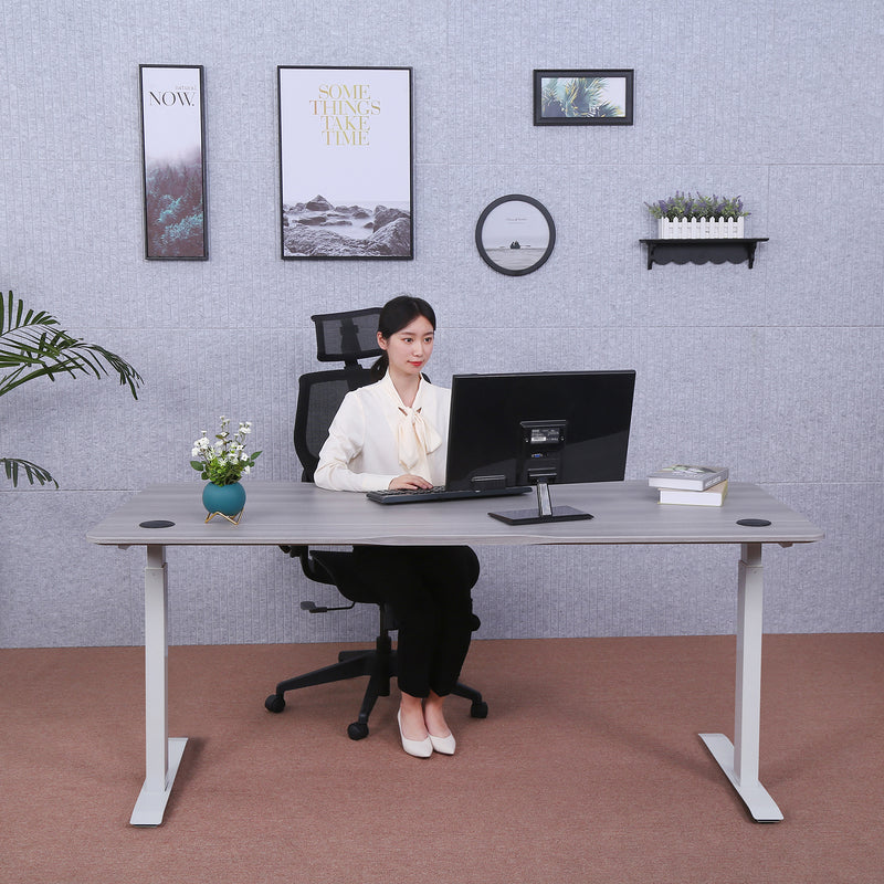 Elite Pro Series 71" x 33" Standing Desk with Off-White Frame