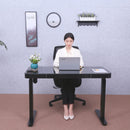 Tempered Glass Lumi Series 47" Standing Desk