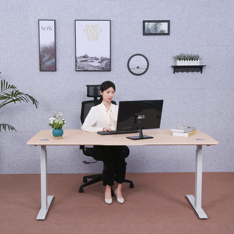 Elite Pro Series 60" x 27" Standing Desk with Off-White Frame